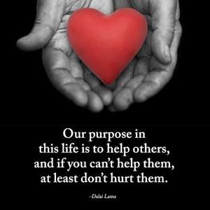 Meet your Posher, Kristin